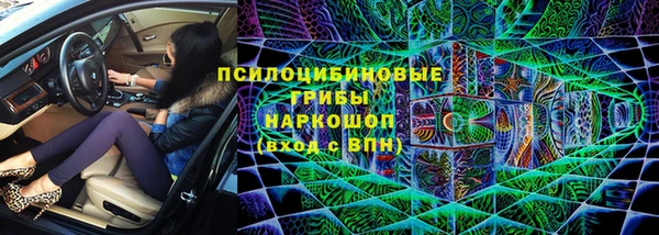 молекула духа Горняк