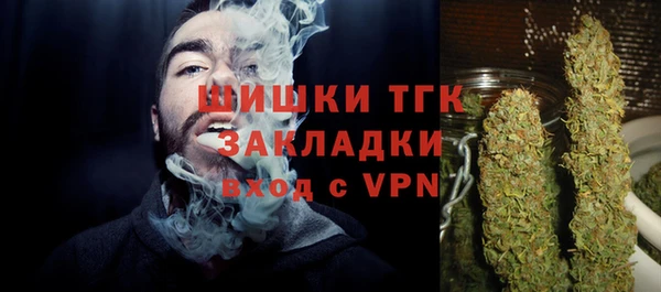молекула духа Горняк