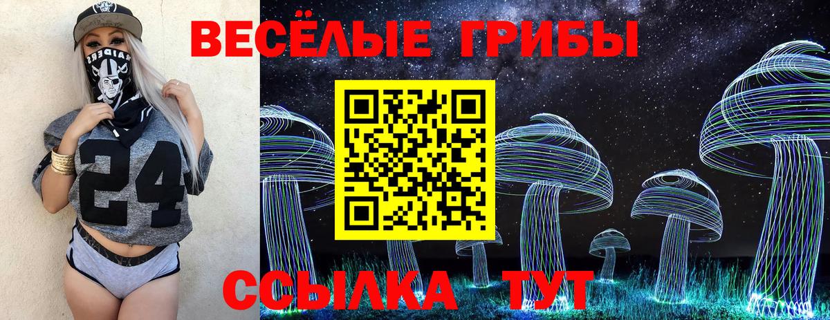 дарнет шоп  Псилоцибиновые грибы GOLDEN TEACHER  Вход с VPN  Псилоцибиновые грибы MAGIC MUSHROOMS  Дагестанские Огни 