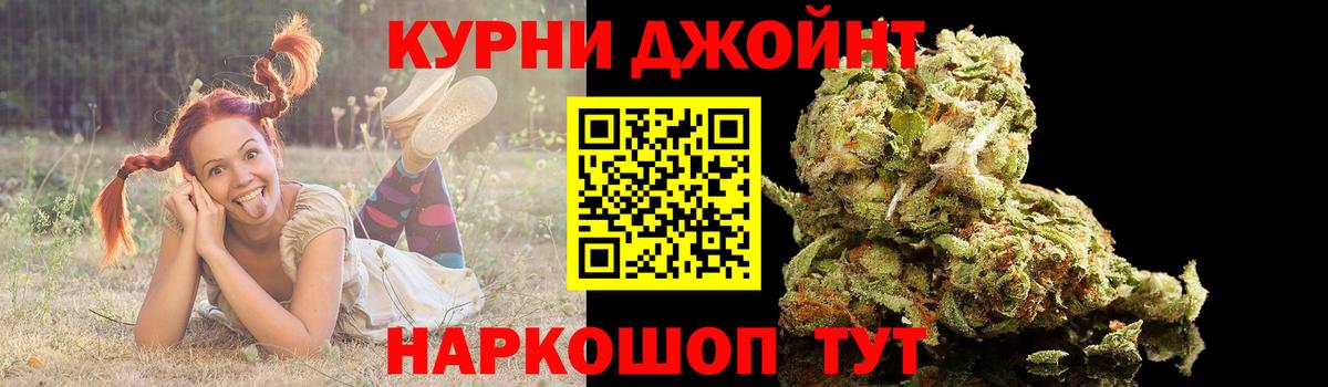 Конопля план Дагестанские Огни